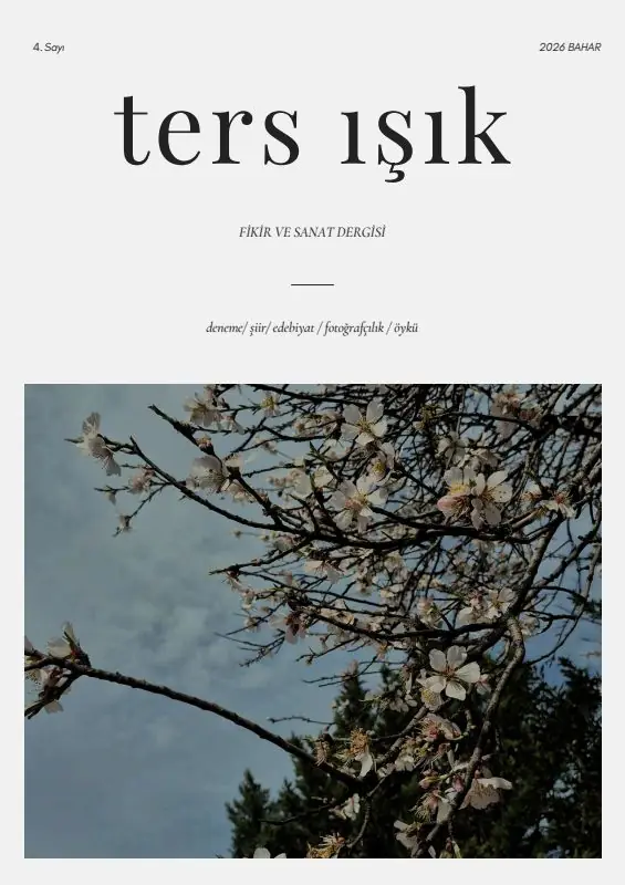 Ters Işık Dergisi Kapak