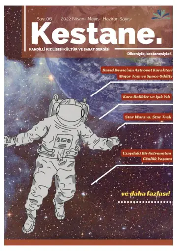 Kestane Dergisi Sayı 6