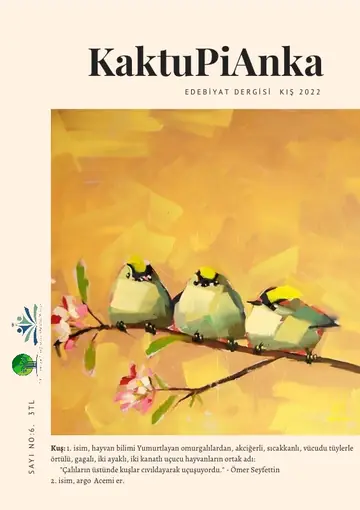 Kaktupianka Dergisi Sayı 6