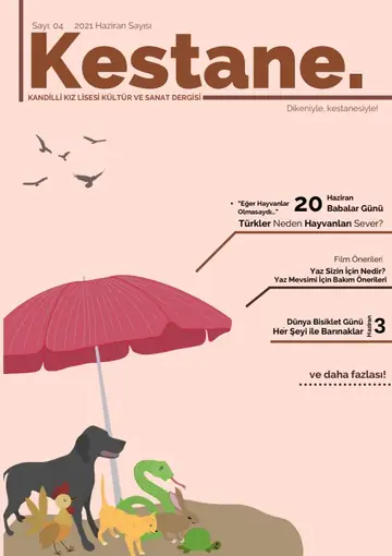 Kestane Dergisi Sayı 4