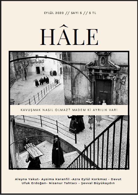 hale 5