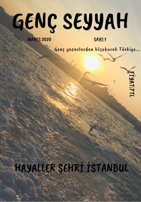 Genç Seyyah