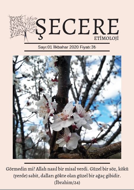 Şecere