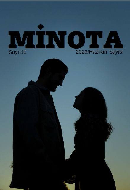 Minota 11
